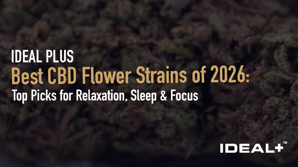 Discover the best cbd flower strains of 2026 for relaxation, sleep, and focus. We break down top hemp flower strains by effect, terpene profile.