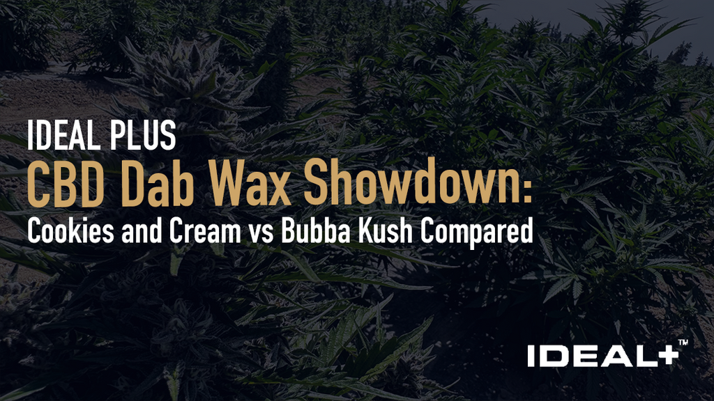 Cookies and Cream vs Bubba Kush: a full CBD dab wax showdown comparing potency, texture, terpenes, and best use case. Compare CBD wax strains now.