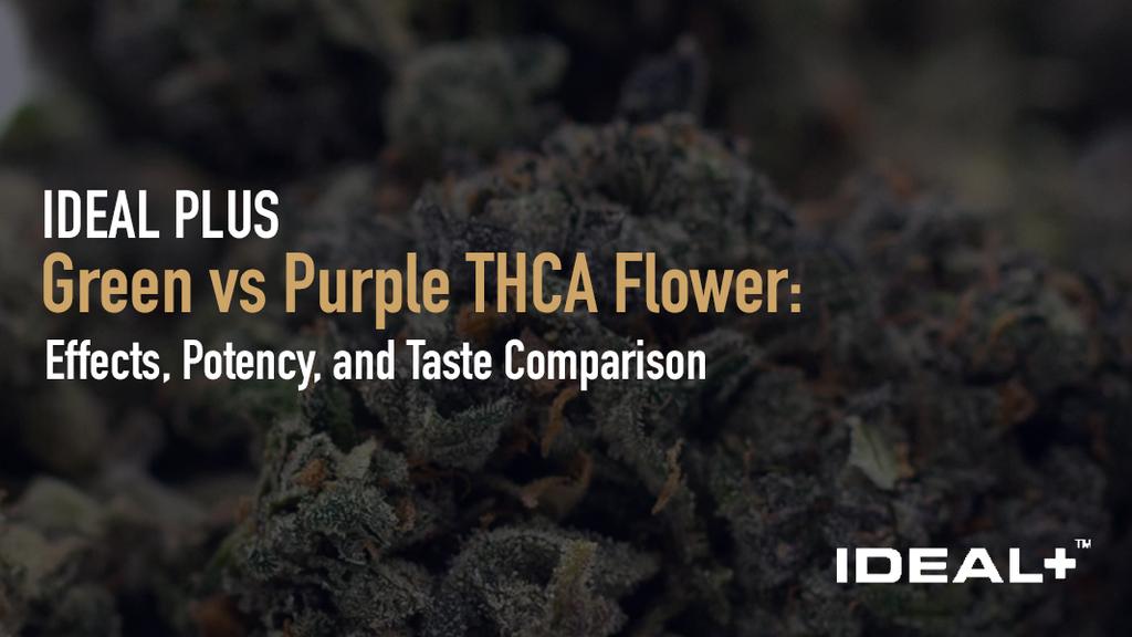 Green vs Purple THCA Flower
