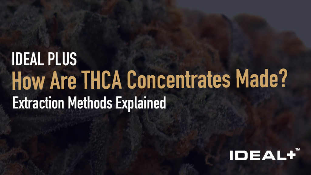 Curious how THCA concentrates are made? Explore BHO, live resin, rosin, diamonds, and more — plus learn how extraction methods affect potency, flavor, and price.