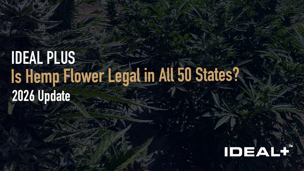 Hemp flower legality varies by state. Get the 2026 state-by-state breakdown before you buy or ship.