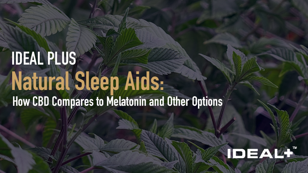 Natural Sleep Aids
