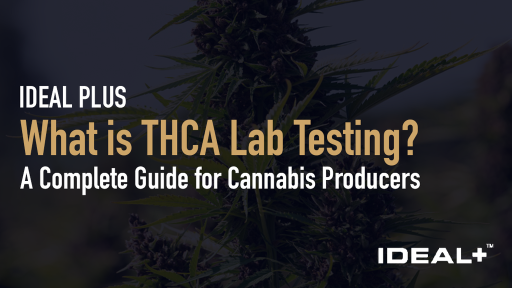 What is THCA Lab Testing?