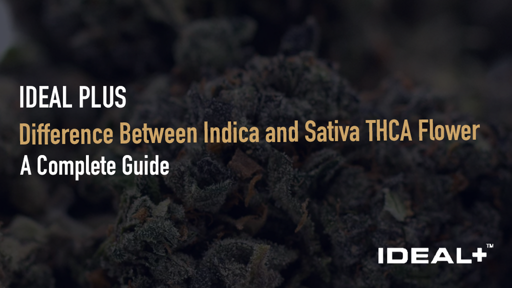 What's the Difference Between Indica and Sativa THCA Flower?