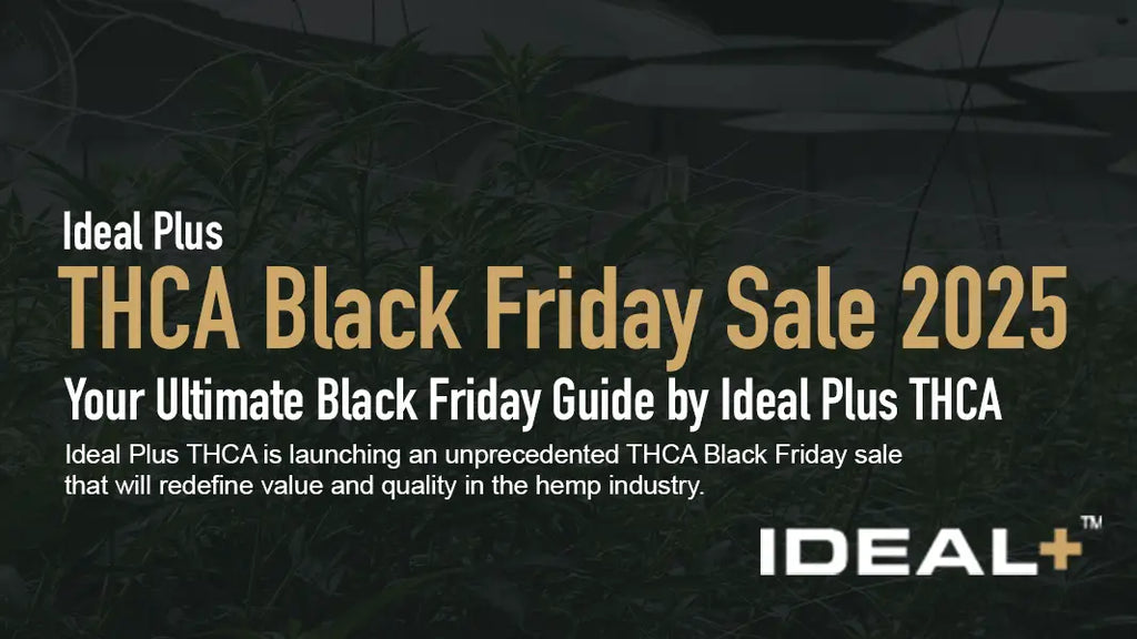 THCA Black Friday Sale 2025 - Your Ultimate Black Friday Guide by Ideal Plus THCA
