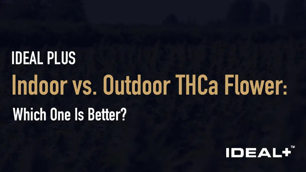Indoor vs. Outdoor THCa Flower: Which One Is Better?