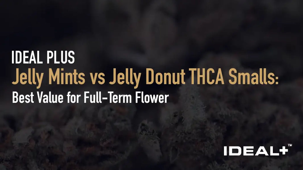 Jelly Mints vs Jelly Donut THCA Smalls