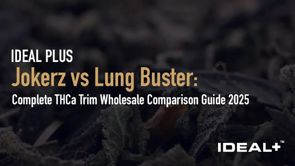 Jokerz vs Lung Buster