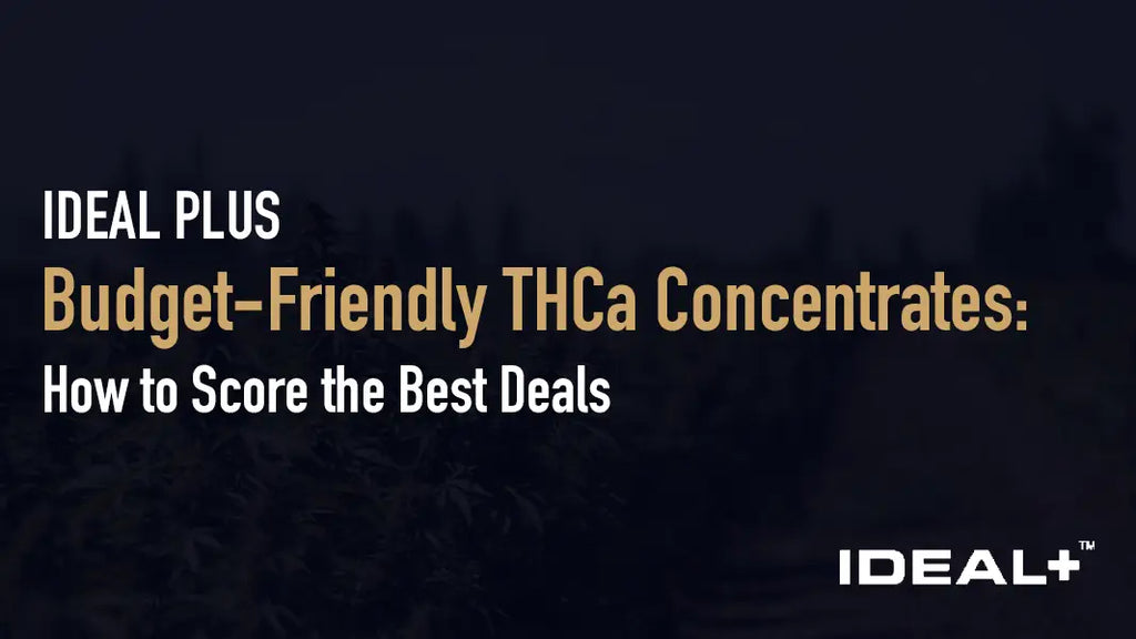 Budget-Friendly THCa Concentrates: How to Score the Best Deals