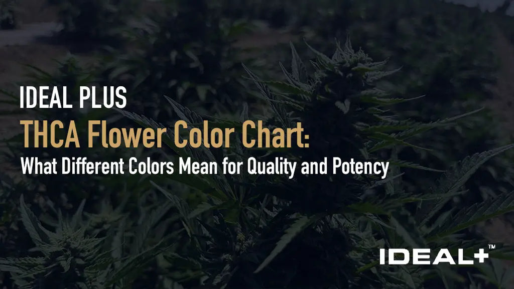 THCA Flower Color Chart
