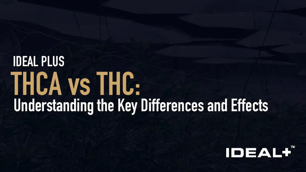  THCA vs THC