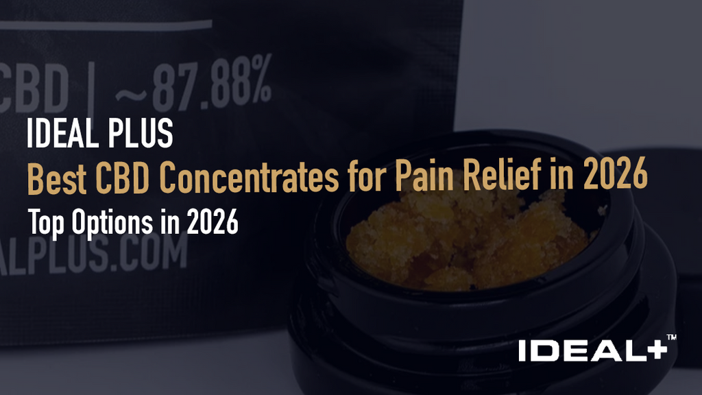 Looking for CBD concentrates that target pain? Here are the top options in 2026 and what makes them effective for chronic and acute discomfort.