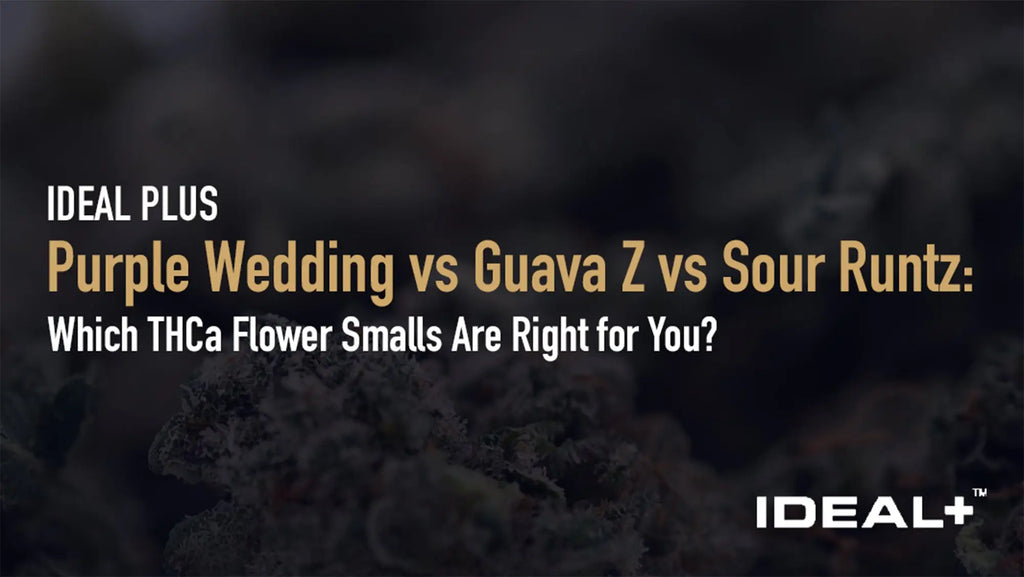 Purple Wedding vs Guava Z vs Sour Runtz: