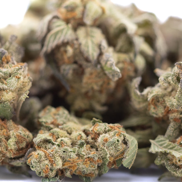 Astroboy THCa Hemp Flower Greenhouse Smalls