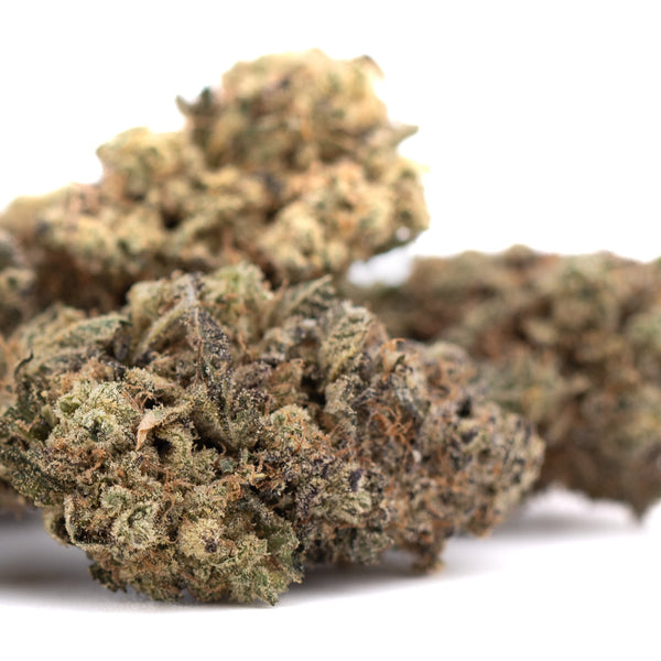 Black Amber Indoor THCa Flower Wholesale