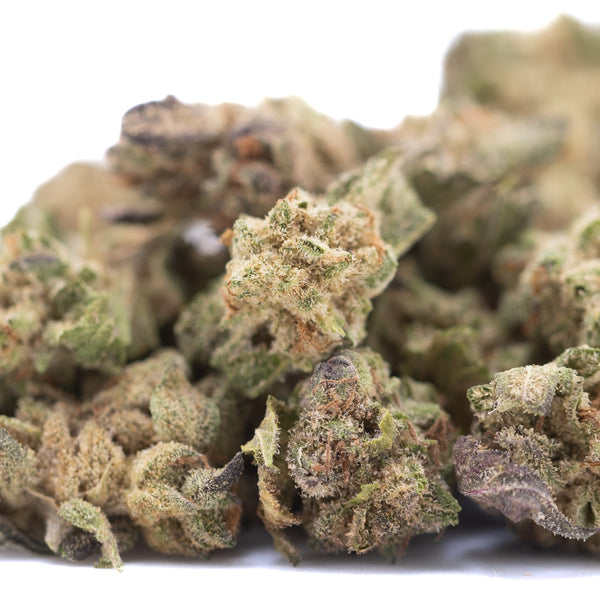 Black Ice THCa Hemp Flower Greenhouse Smalls