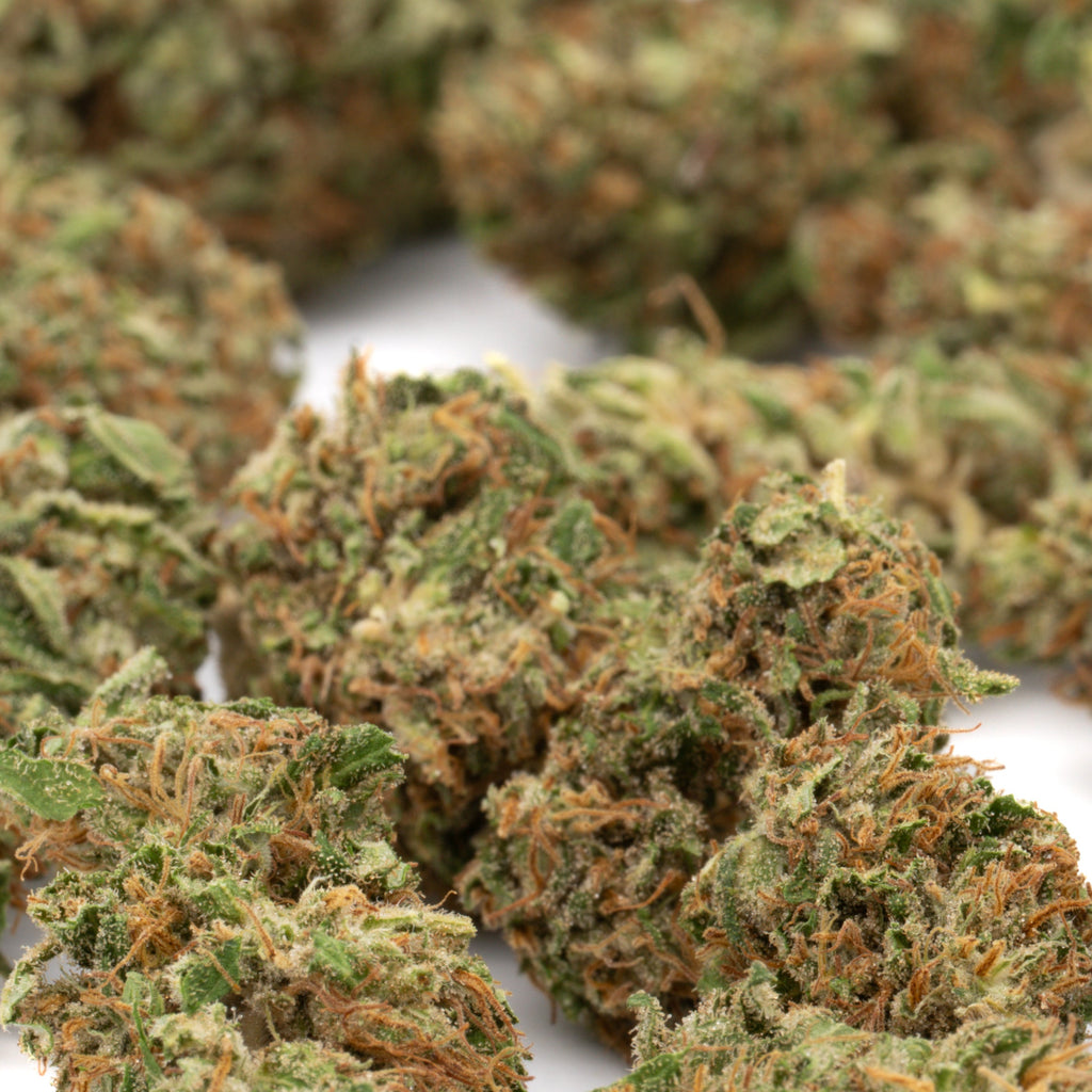 Bubble Gum CBD Hemp Flower Full-Term Smalls Wholesale