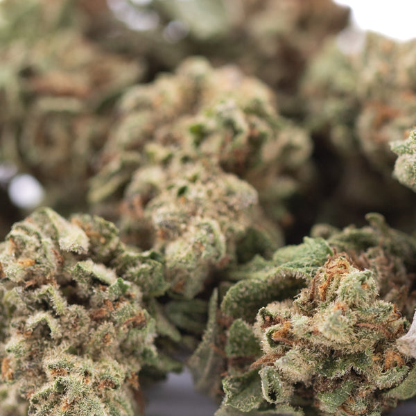 Candy Pave THCa Hemp Flower Greenhouse Smalls