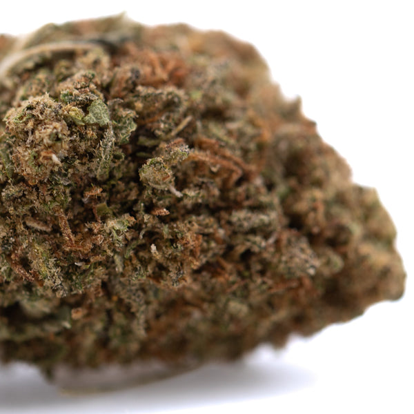 Critical Berries CBD Full-Term Hemp Flower