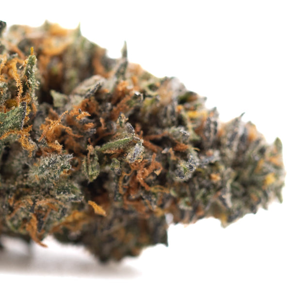 Gas Guzzler Indoor THCa Flower