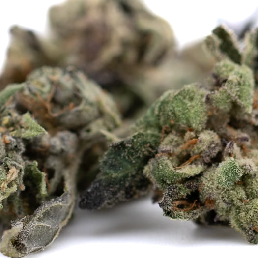 Lemon Octane CBD Full-Term Hemp Flower Smalls