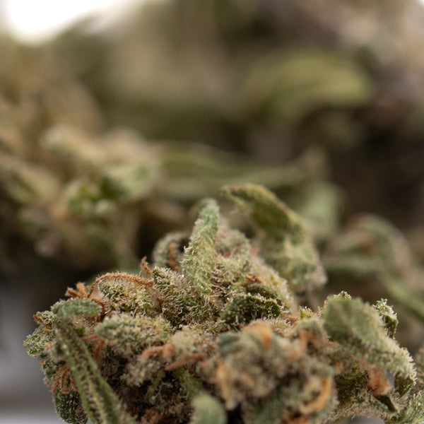 Strawberry Cheesecake THCa Flower Smalls Full-Term