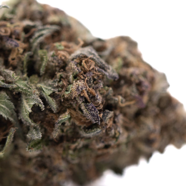 Tropical Punch THCa Hemp Flower Greenhouse Wholesale