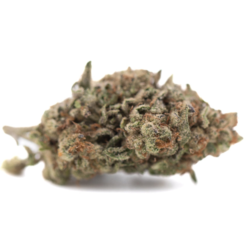 Premium Bahama Bussdown THCa hemp flower bud with green orange hues and trichomes