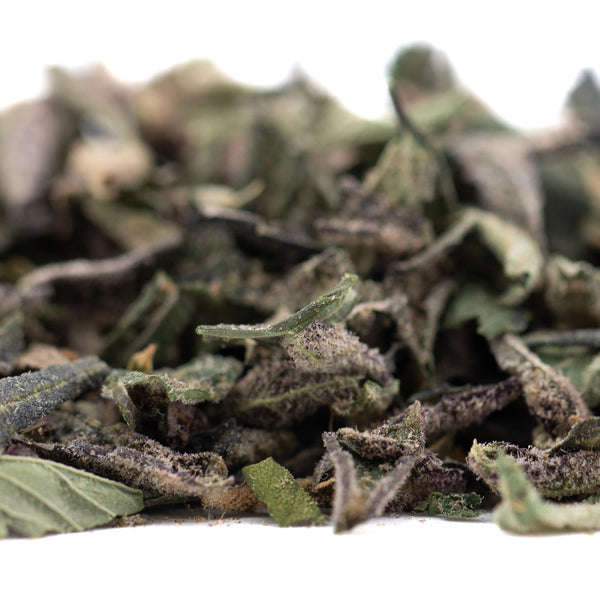 Pile of green dried sage leaves, banana kush THCa trim hemp flower ingredient