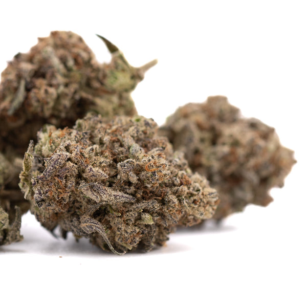 Premium Dough Boy THCa hemp flower bud with dense trichomes