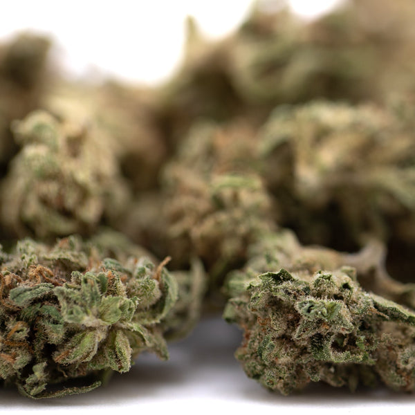 Durban Poison THCa Flower Smalls: Green and Brown Bud with Dense Resin Glands