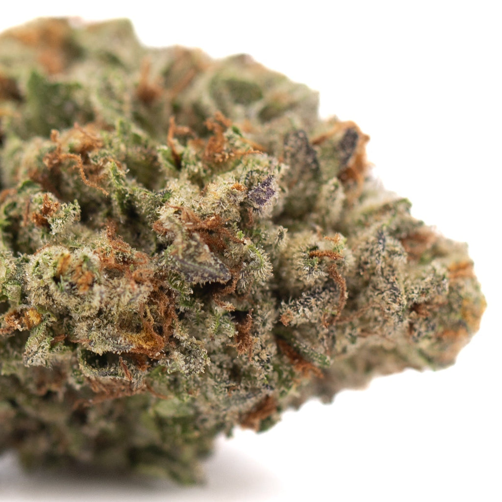 Premium Green and Orange Cannabis Bud with Dense Trichomes from Gelato THCa Hemp Flower Greenhouse