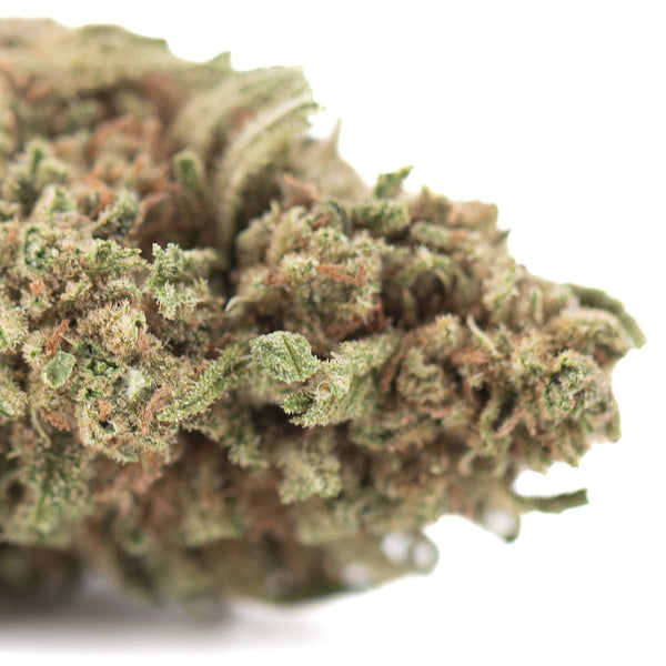 Premium Humboldt Dream THCa hemp flower bud with dense trichomes