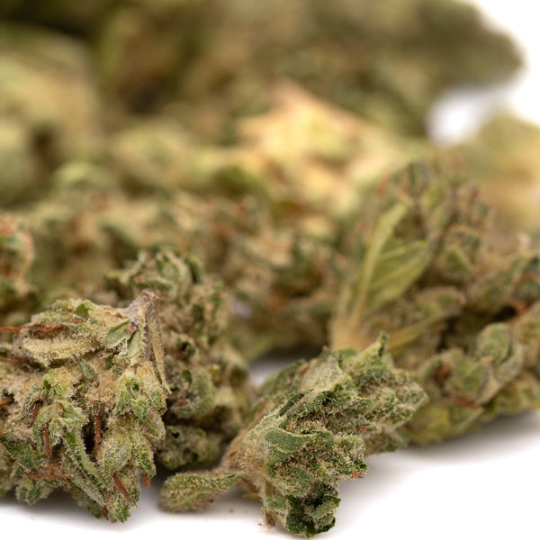 Lucky Charms THCa hemp flower smalls with green leaves and white trichomes