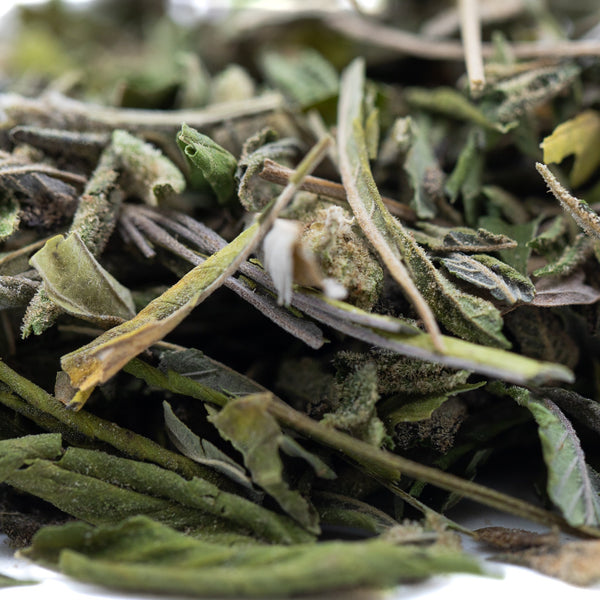 Green tea leaves in white bowl from Lung Buster hemp flower trim