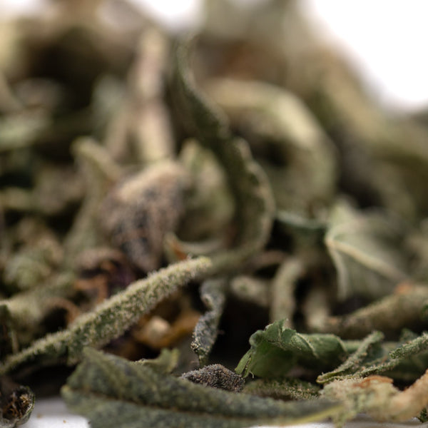 Pineapple Express THCa trim with dried sage leaves hemp flower blend