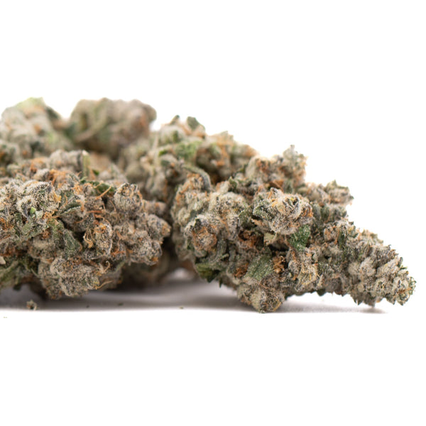 Premium Platinum Cookies THCa Flower: Dense Trichomes, Crazy Frosty Bud