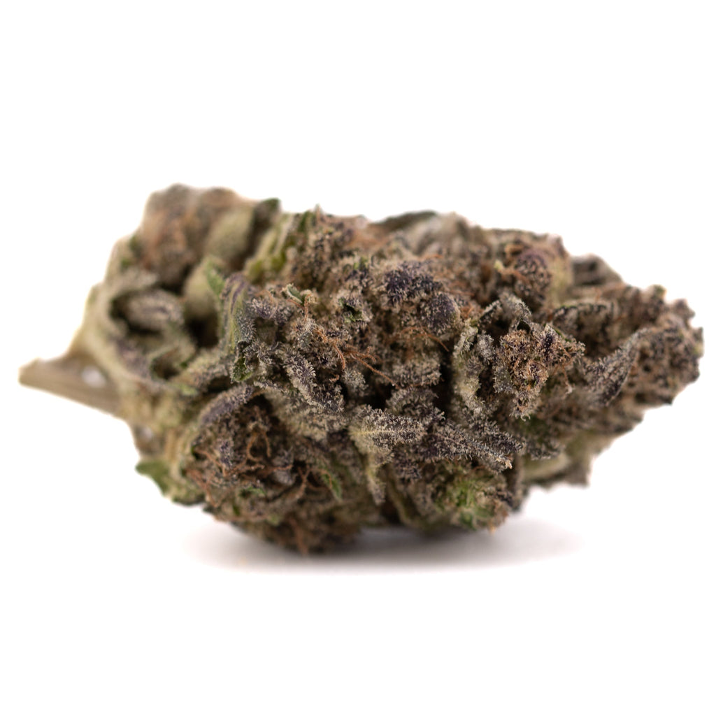 Purple Mountain Majesty THCa hemp flower bud with purple green hues and trichomes