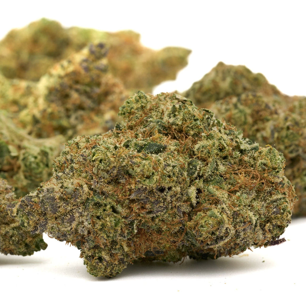 Dense cannabis buds of Pyromaniac Indoor THCa Flower - 5 gram for premium hemp flower