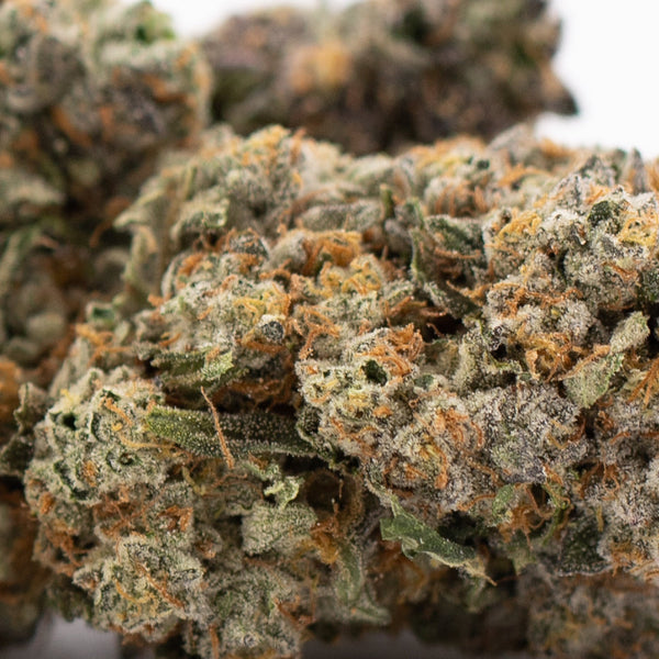 Premium Rozay Cake THCa Flower: Vibrant Green Bud with Orange Hues and Trichomes