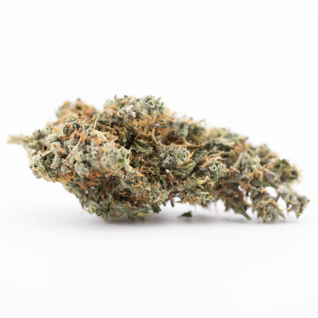 Thai OG Indoor THCa Flower bud with vibrant green orange hues and trichomes for powerful head rush