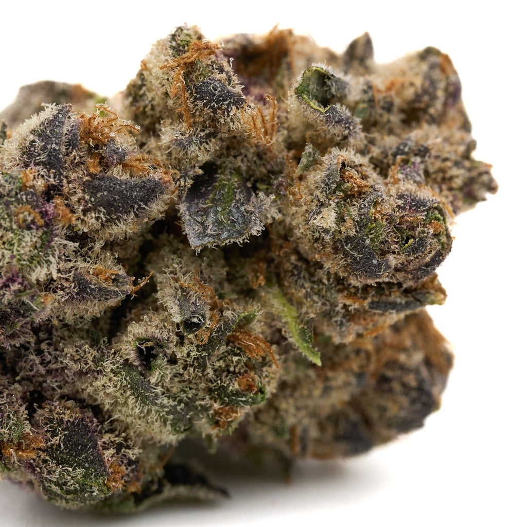 Dense trichome-covered cannabis bud of Wedding Cheesecake Indoor THCa Flower